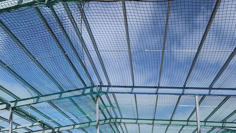 Pro Netting Essex Limited